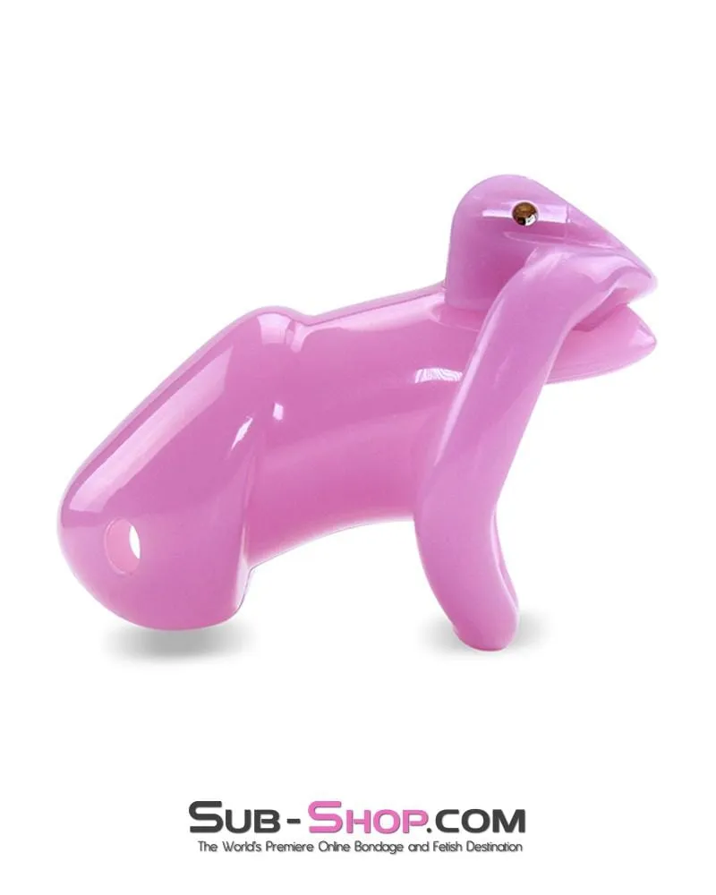 0396AE      Sissy Bitch High Security Keyed Tumbler Locking Male Chastity with 4 Base Cock Ring Sizes