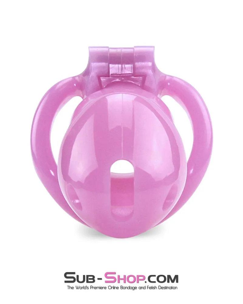 0396AE      Sissy Bitch High Security Keyed Tumbler Locking Male Chastity with 4 Base Cock Ring Sizes