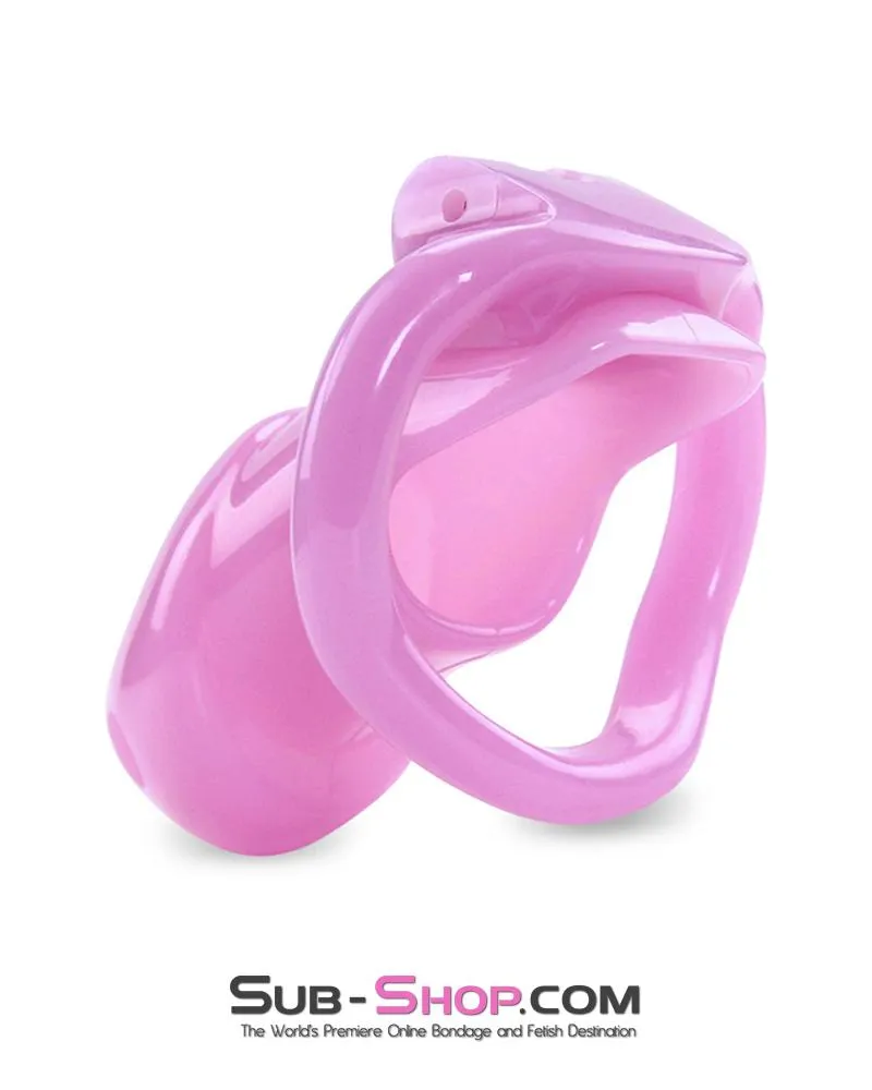 0396AE      Sissy Bitch High Security Keyed Tumbler Locking Male Chastity with 4 Base Cock Ring Sizes