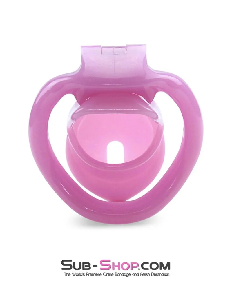 0396AE      Sissy Bitch High Security Keyed Tumbler Locking Male Chastity with 4 Base Cock Ring Sizes