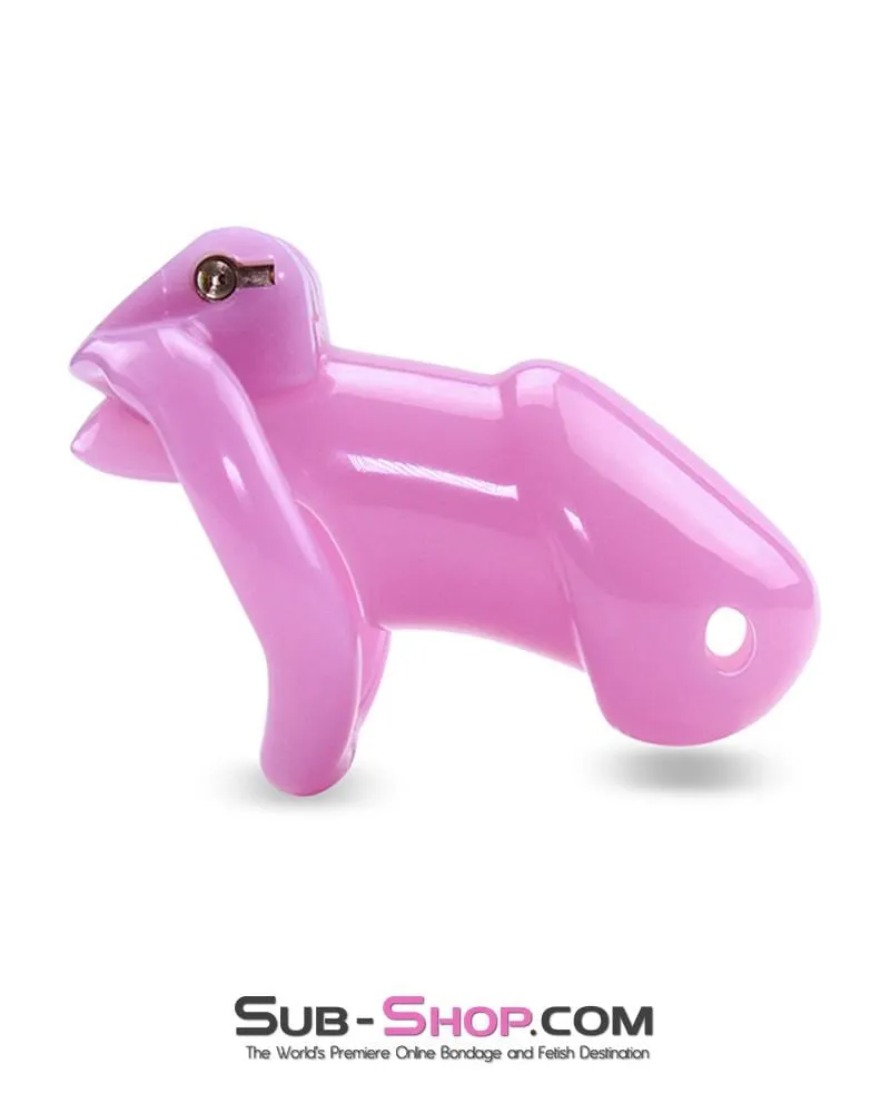 0396AE      Sissy Bitch High Security Keyed Tumbler Locking Male Chastity with 4 Base Cock Ring Sizes