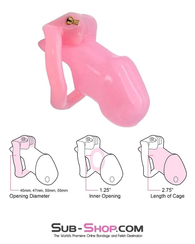 0396AE      Sissy Bitch High Security Keyed Tumbler Locking Male Chastity with 4 Base Cock Ring Sizes