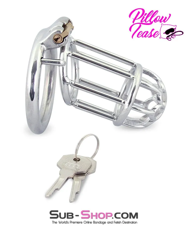 0483M      Behind Bars High Security Cock Cage Chastity Device