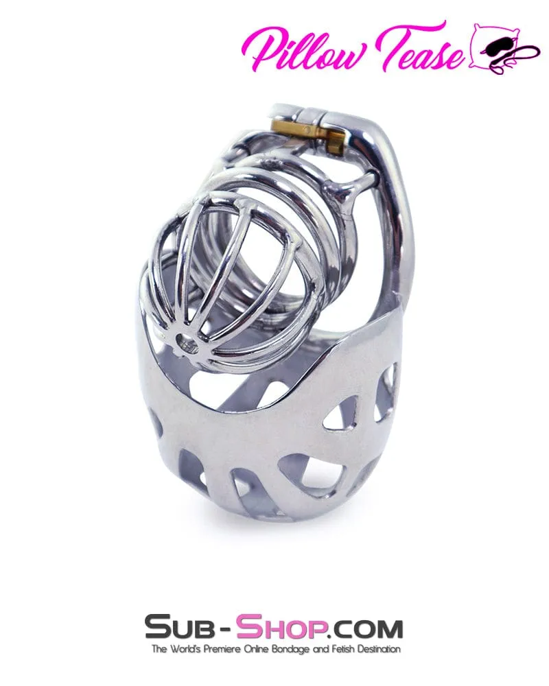 0995AR      Balls and All Full Coverage Locking Steel Chastity Device, 2" Cock Ring