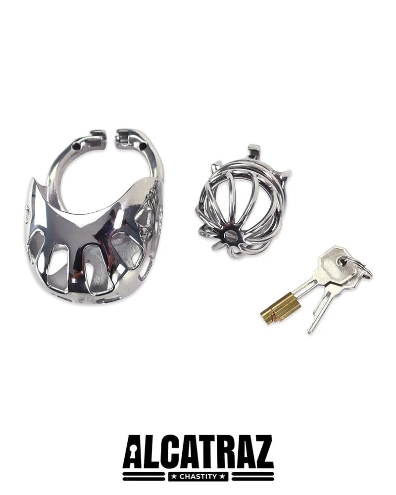 0995AR      Balls and All Full Coverage Locking Steel Chastity Device, 2" Cock Ring