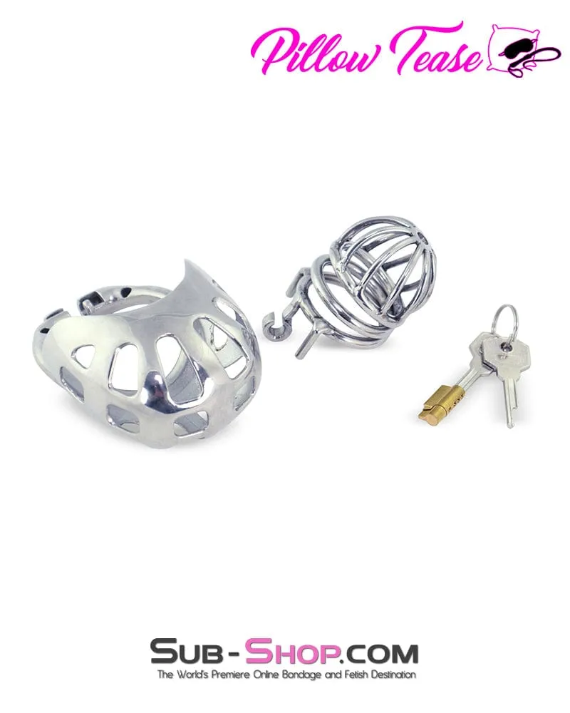 0995AR      Balls and All Full Coverage Locking Steel Chastity Device, 2" Cock Ring