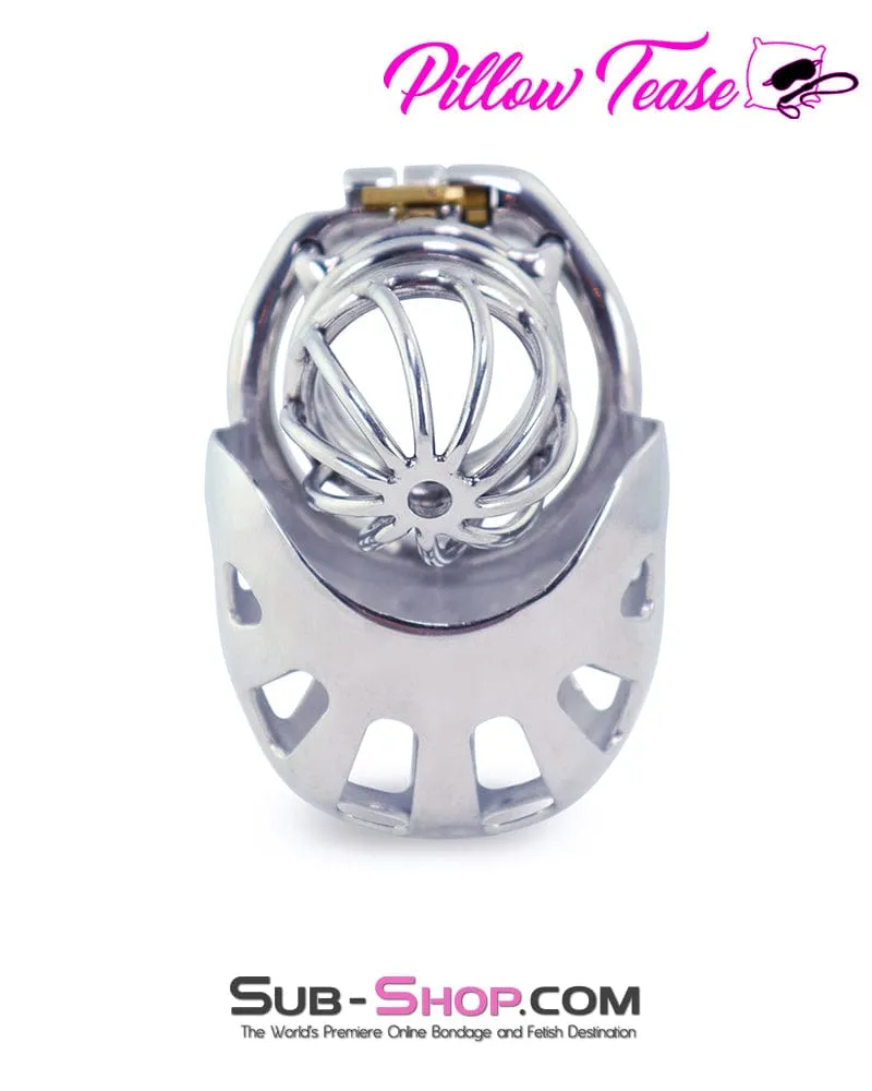 0995AR      Balls and All Full Coverage Locking Steel Chastity Device, 2" Cock Ring