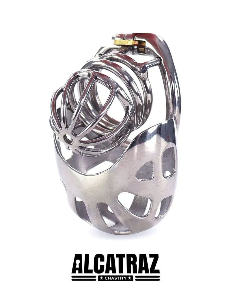 0995AR      Balls and All Full Coverage Locking Steel Chastity Device, 2" Cock Ring