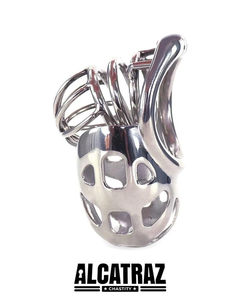0995AR      Balls and All Full Coverage Locking Steel Chastity Device, 2" Cock Ring