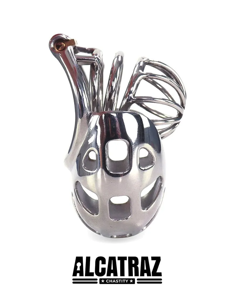 0995AR      Balls and All Full Coverage Locking Steel Chastity Device, 2" Cock Ring