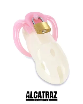 1384AR      Sissy Tease and Denial Locking Pink Cock Chastity