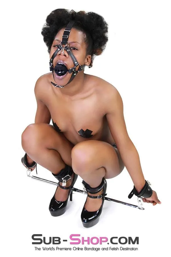 3812RS      2” Large Black Silicone Breather Ball Gag Trainer with Nose Hook