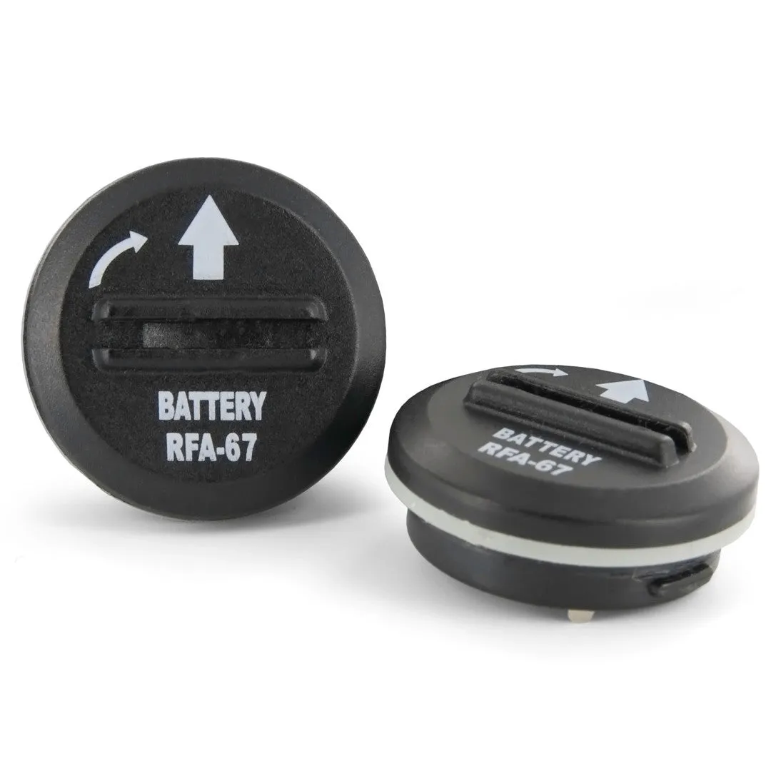 6 Volt Lithium Battery (2-Pack)