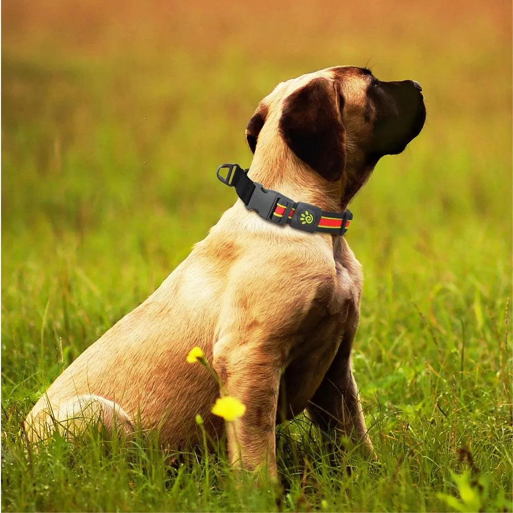 DOCO® Solar Mesh Training Dog Collar
