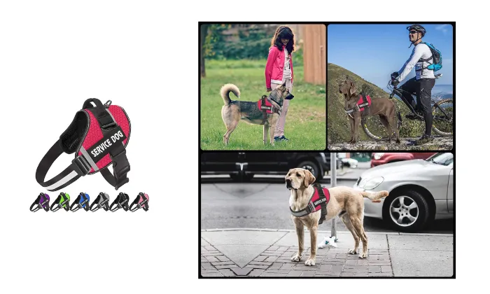 Dog Chest Strap Traction Rope
