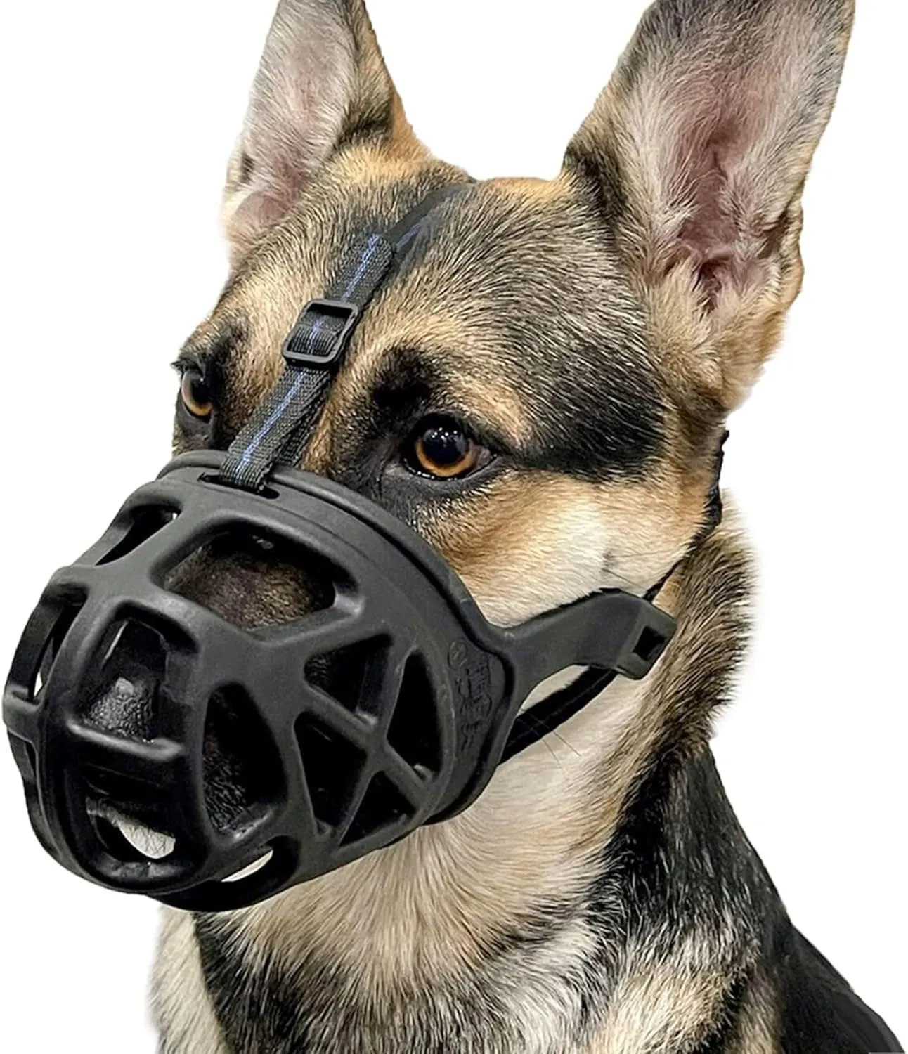 Dog Muzzle, Basket Muzzle for Biting, Chewing and Scavenging, Humane Cage Mouth Cover, Perfect for Grooming and Training Medium, Large Aggressive Reactive Dogs