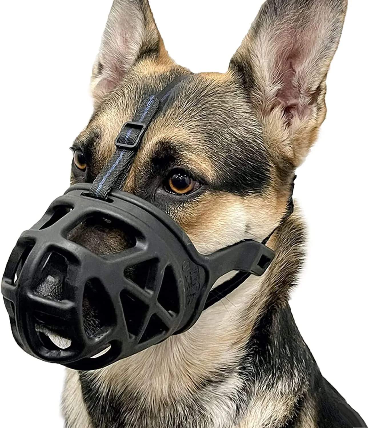 Dog Muzzle, Basket Muzzle for Biting, Chewing and Scavenging, Humane Cage Mouth Cover, Perfect for Grooming and Training Medium, Large Aggressive Reactive Dogs
