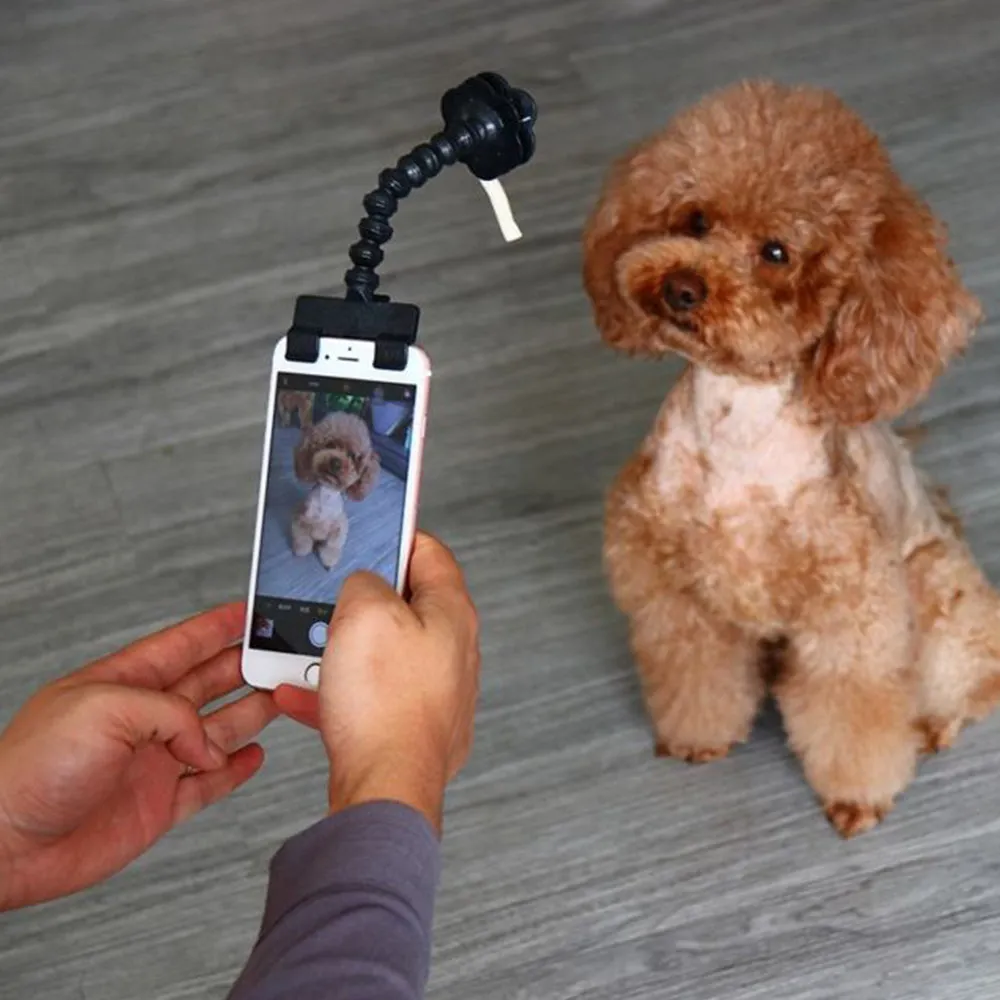 Dogsy Selfie Stick