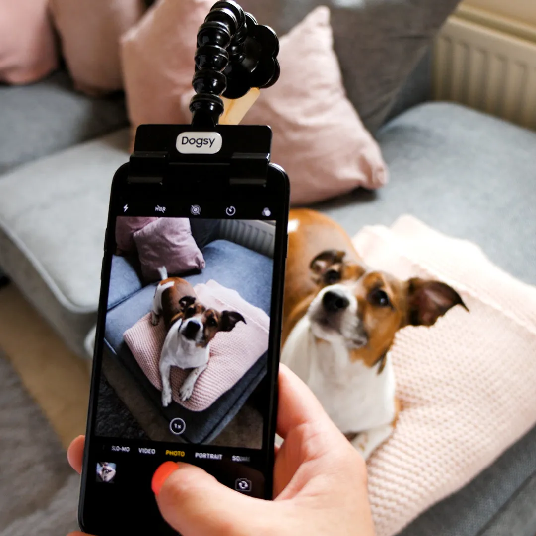 Dogsy Selfie Stick