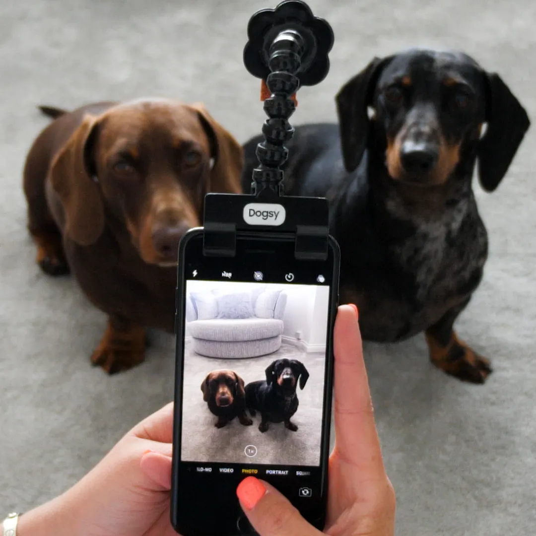 Dogsy Selfie Stick