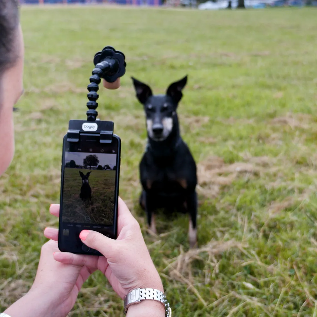 Dogsy Selfie Stick