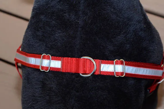 Dual-Attach No-Pull Harness™ | Solid or Reflective | 20 colors