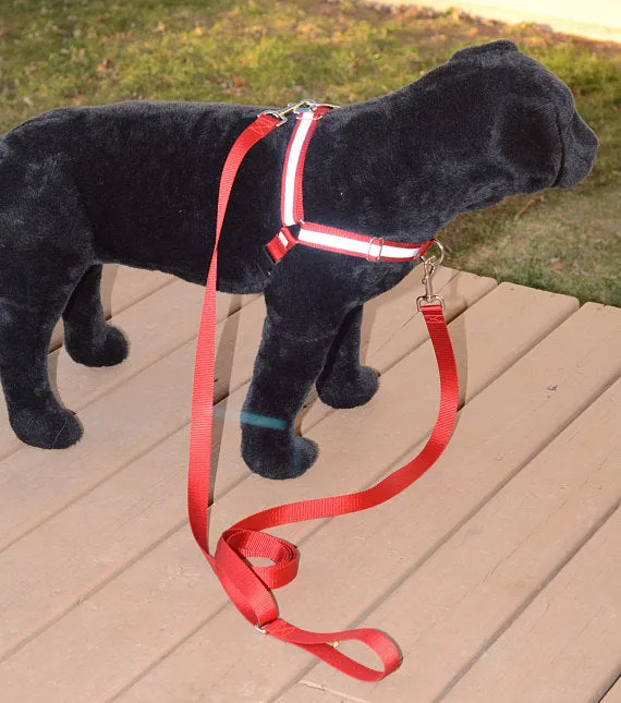Dual-Attach No-Pull Harness™ | Solid or Reflective | 20 colors