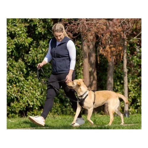 Halti No Pull Harness Large