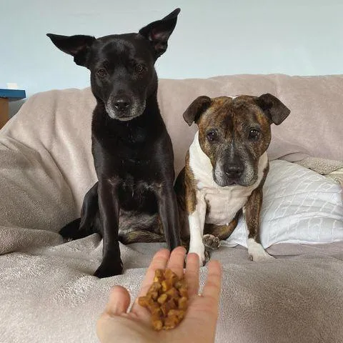 JR Pure Chicken Training Treats 85g