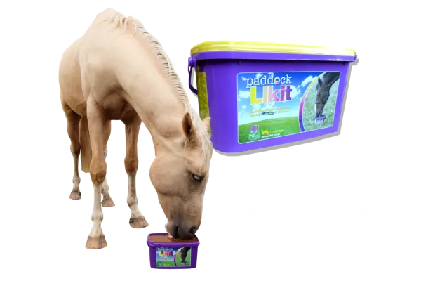 Likit Paddock Lick