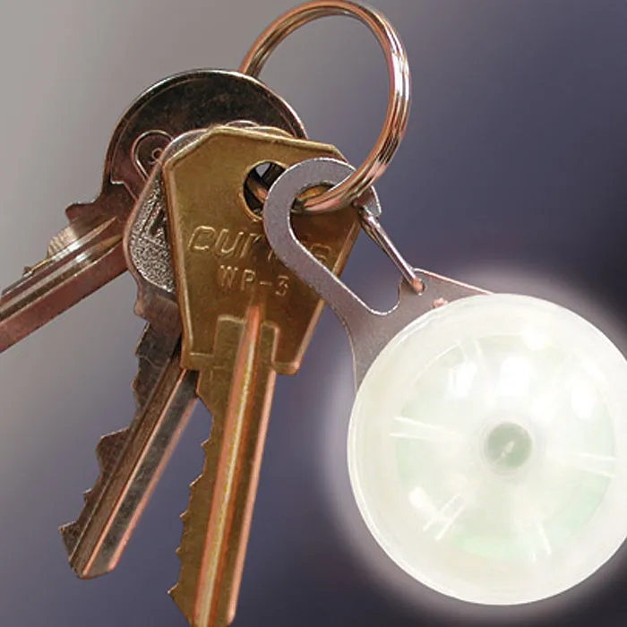 Nite Dawg Spotlit LED Carabiner Collar Light