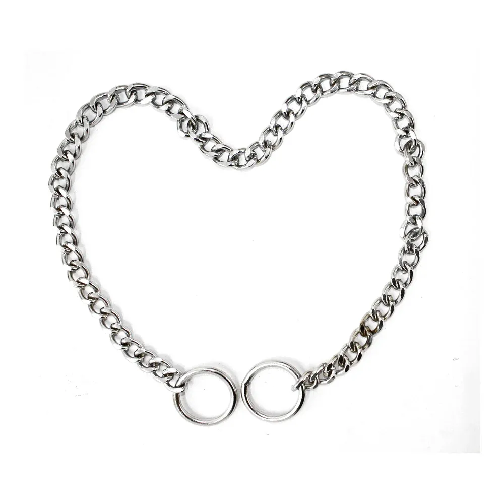 Pawpourri Metal Slip Chain Collar for Dogs