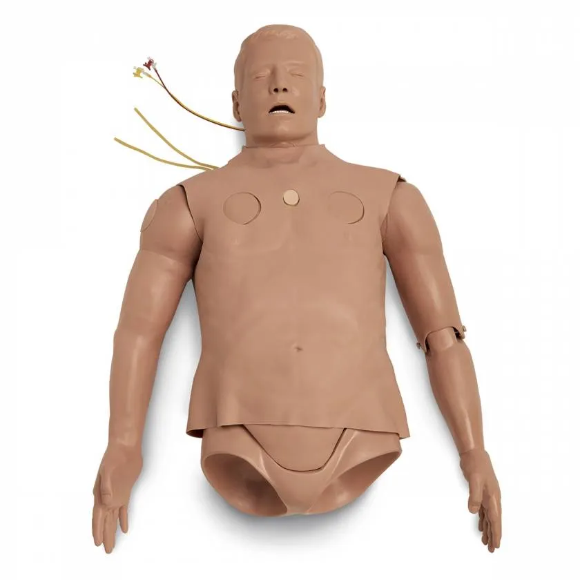 Pre-Hospital Trauma Life Support (Phtls) Manikin Torso