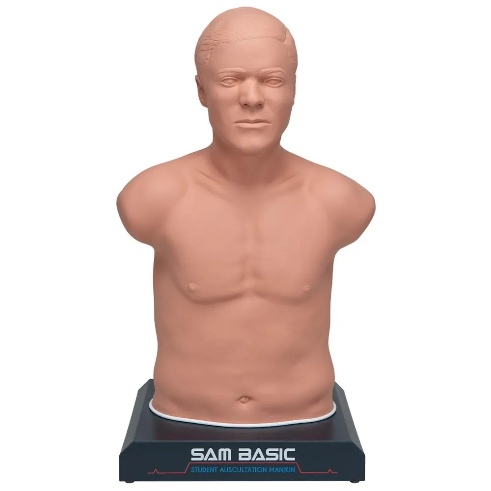 SAM BASIC<sup>®</sup> - Adult Auscultation Trainer with SimScope Wi-Fi Training Stethoscope, Light