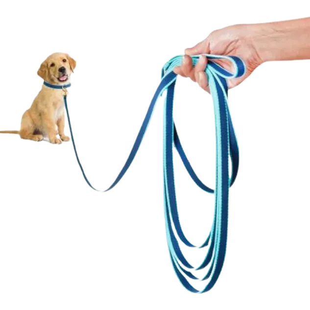 Training Leash | Navy & Aqua