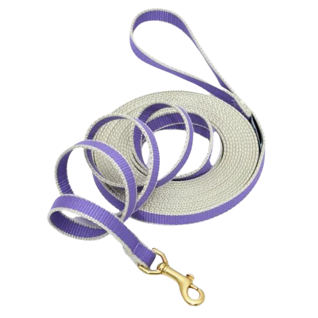 Training Leash | Purple & Gray