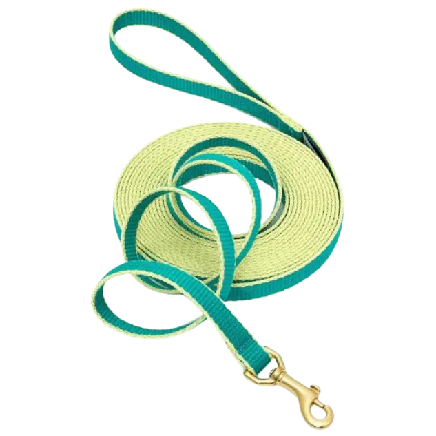 Training Leash | Teal & Yellow