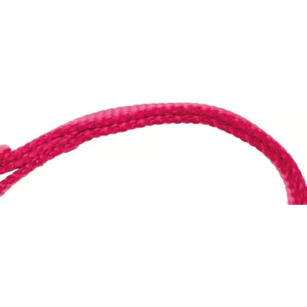 Trixie Premium Collar for Dogs (Pink)