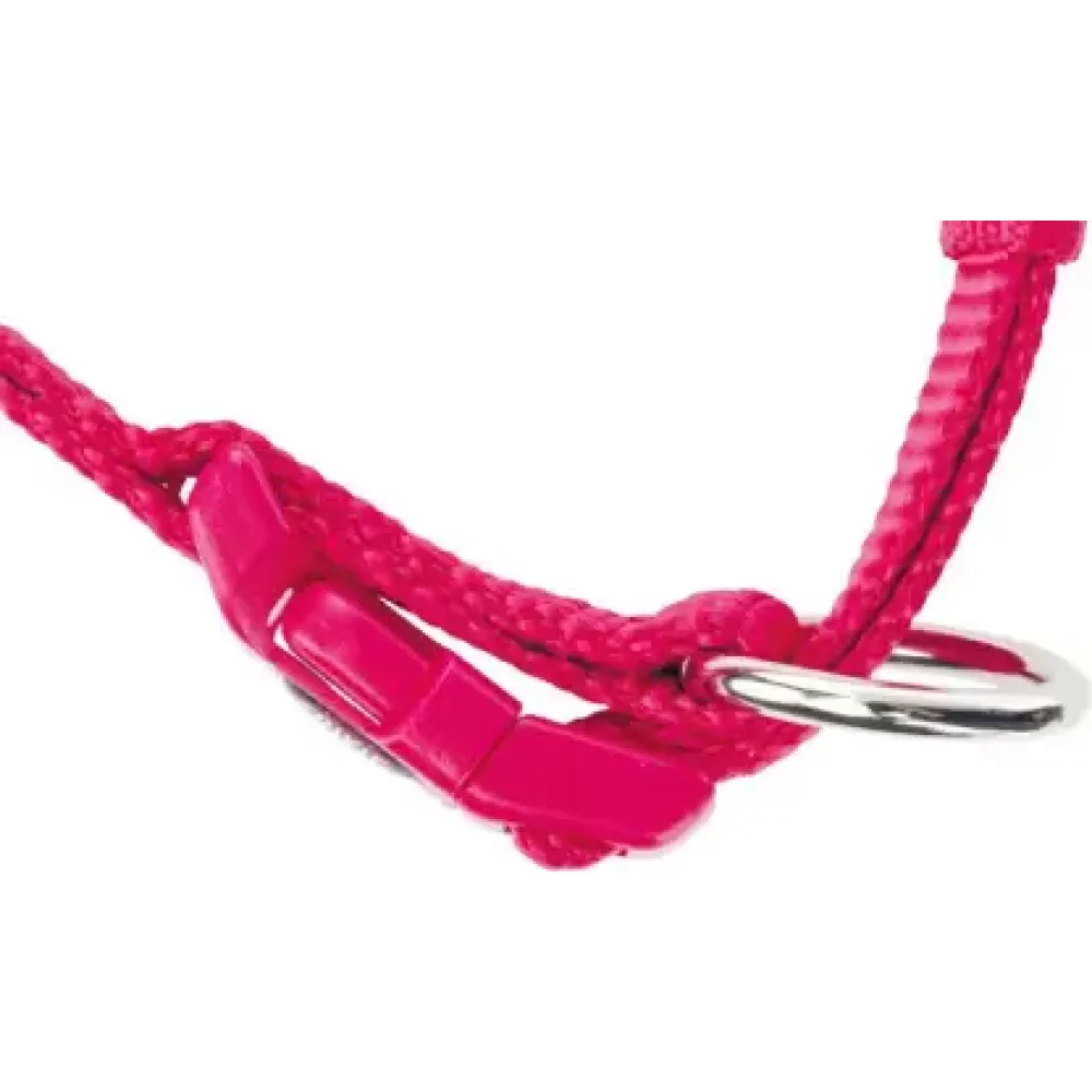 Trixie Premium Collar for Dogs (Pink)