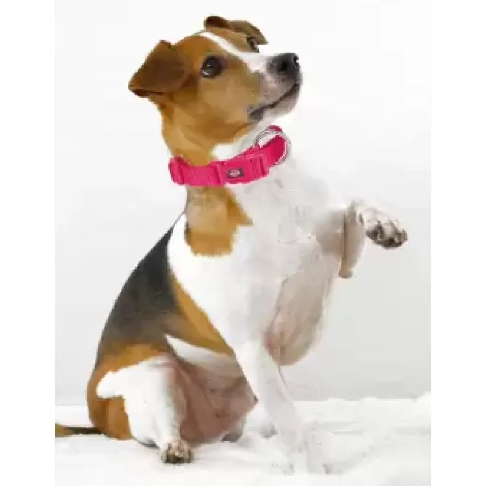 Trixie Premium Collar for Dogs (Pink)