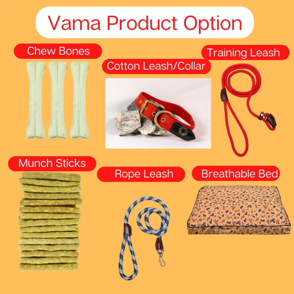 Vama Leathers Night Visible Reflective All Weather Everyday Collar for Dogs (Scarlet Red)