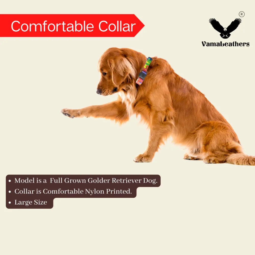 Vama Leathers Night Visible Reflective All Weather Everyday Collar for Dogs (Scarlet Red)